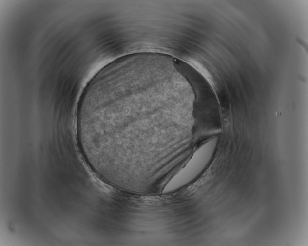 X0000091291144200708241023