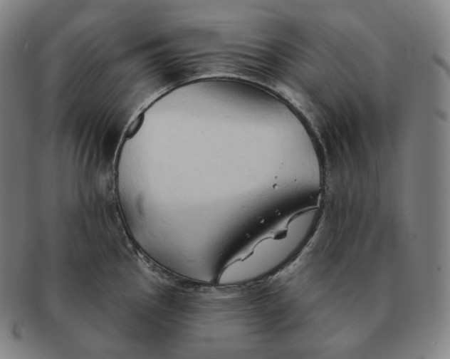 X0000091291145200708241023