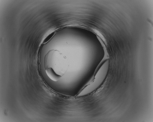 X0000091291146200708241023