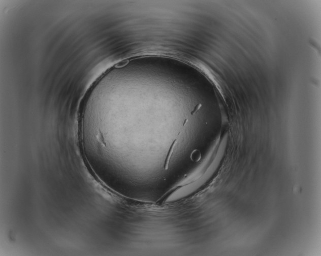 X0000091291147200708241023