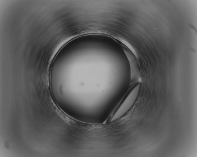 X0000091291148200708241023