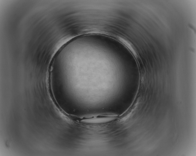 X0000091291149200708241023