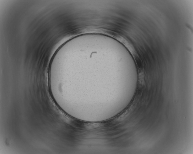 X0000091291150200708241023