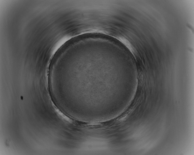 X0000091291151200708241023