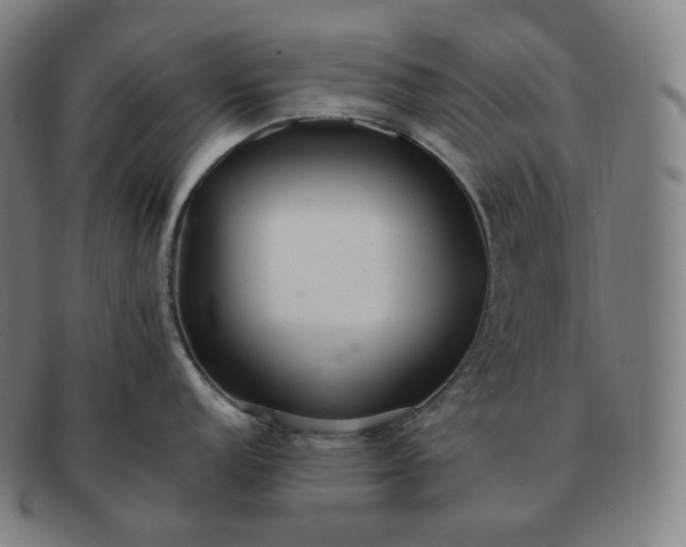 X0000091291152200708241023