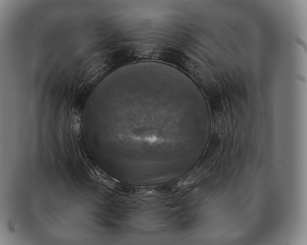 X0000091291154200708241022