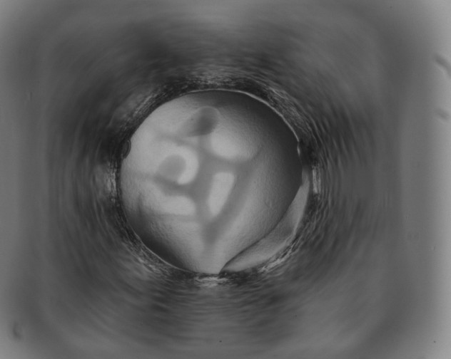 X0000091291155200708241022