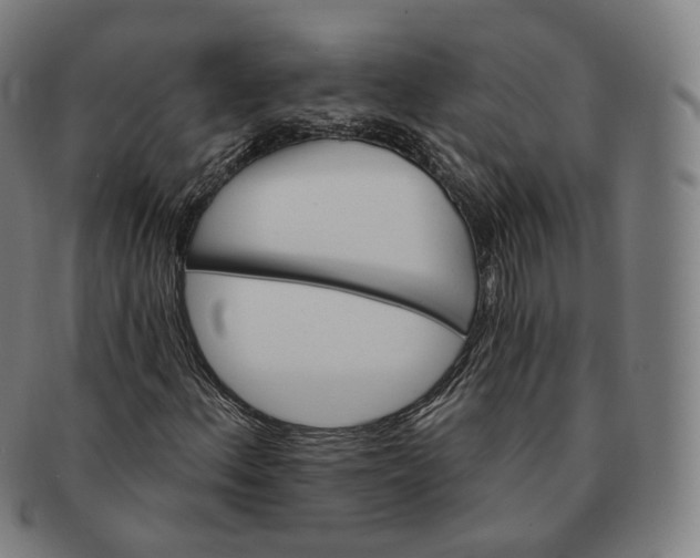 X0000091291156200708241022