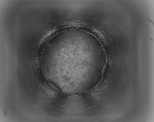 X0000091291159200708241022