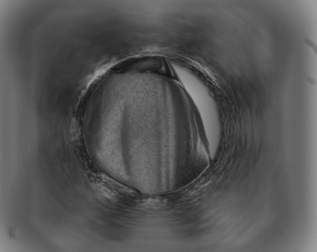 X0000091291160200708241022