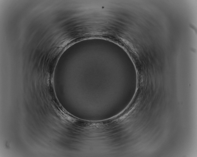 X0000091291161200708241022