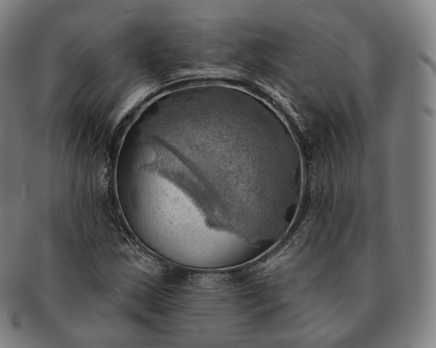 X0000091291163200708241022