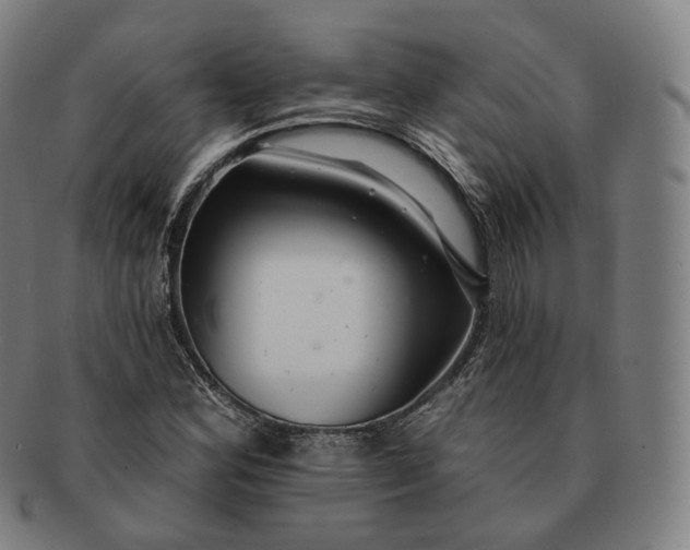 X0000091291164200708241022