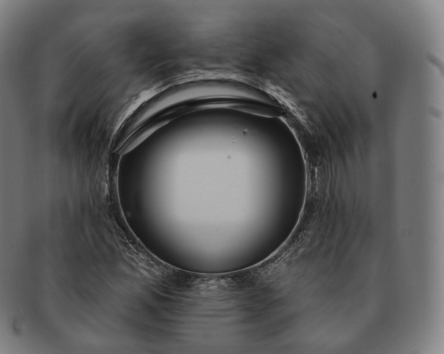 X0000091291165200708241022