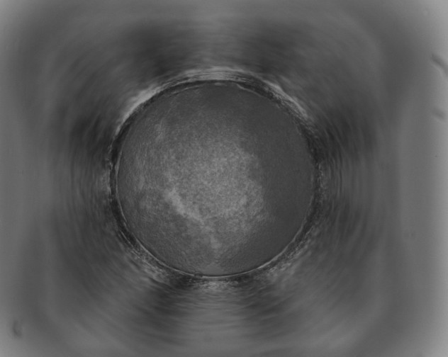 X0000091291166200708241022