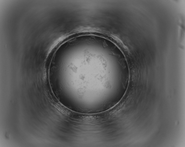 X0000091291167200708241022