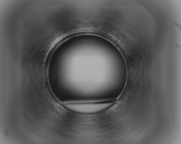 X0000091291168200708241022