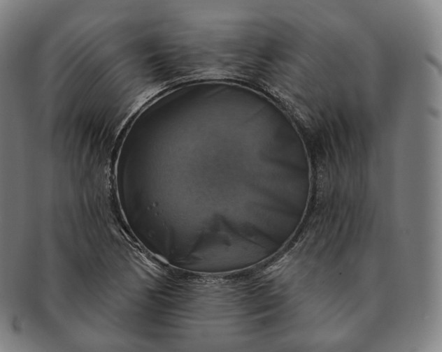 X0000091291170200708241022