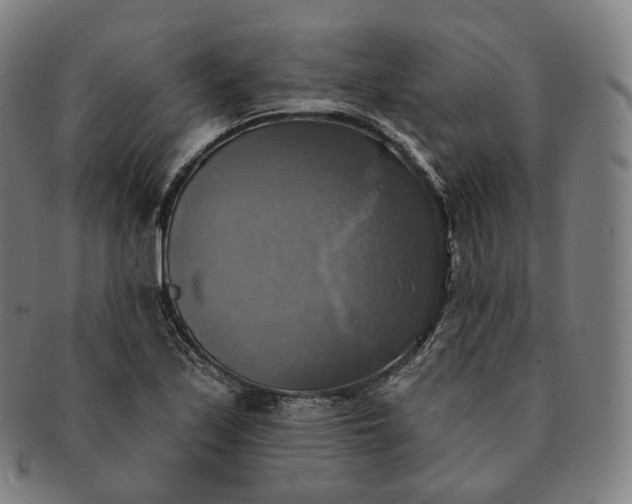 X0000091291171200708241022