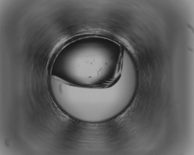 X0000091291172200708241022