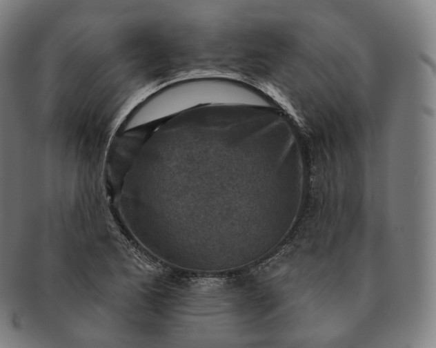 X0000091291173200708241022