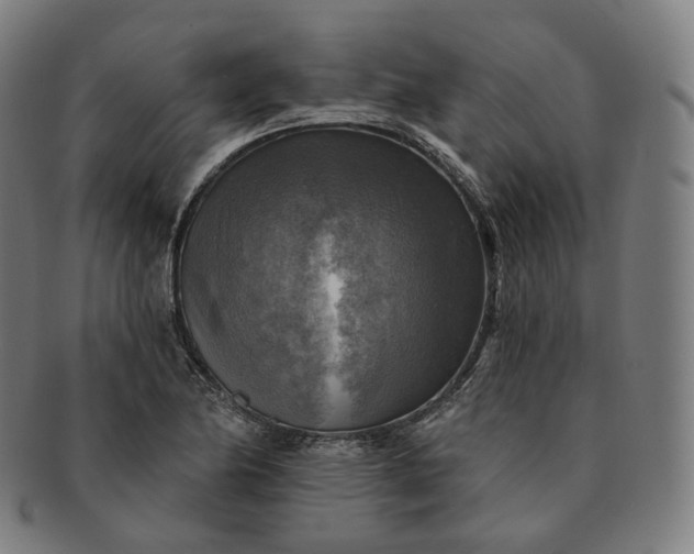 X0000091291174200708241022