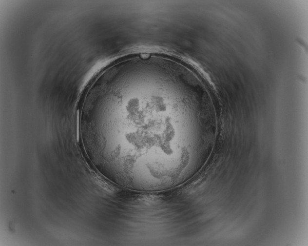 X0000091291175200708241022