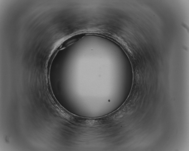 X0000091291176200708241022