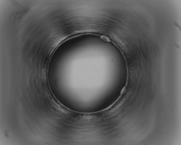 X0000091291177200708241022