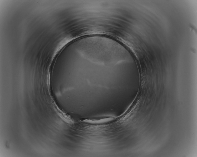 X0000091291179200708241022