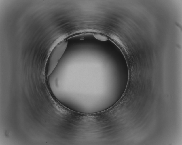 X0000091291181200708241022