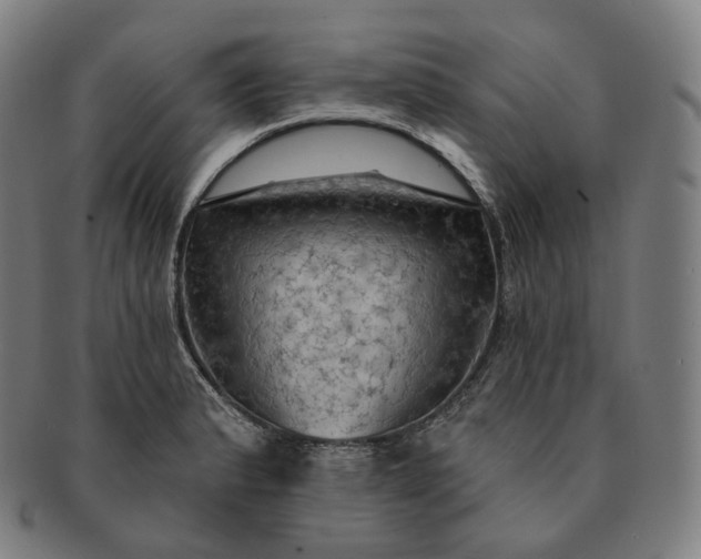 X0000091291183200708241022