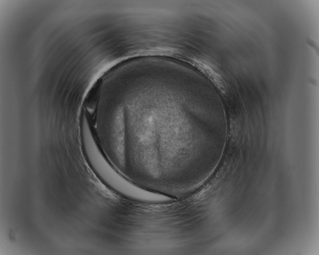 X0000091291184200708241022