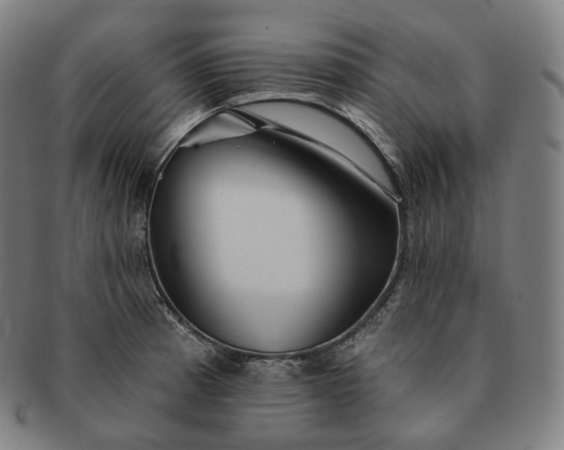 X0000091291185200708241022