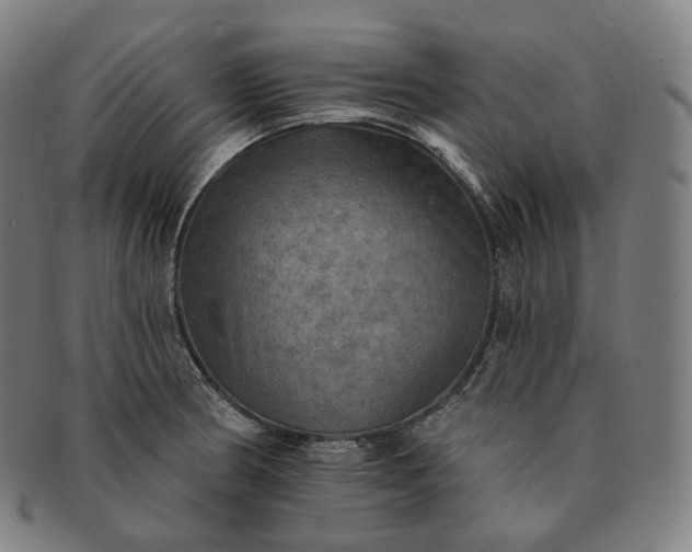 X0000091291186200708241022