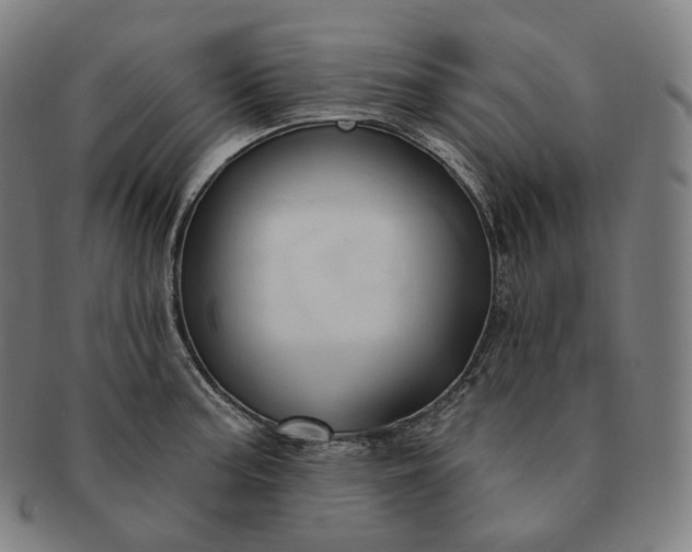 X0000091291187200708241022