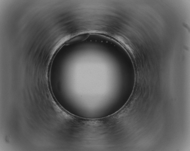 X0000091291189200708241022