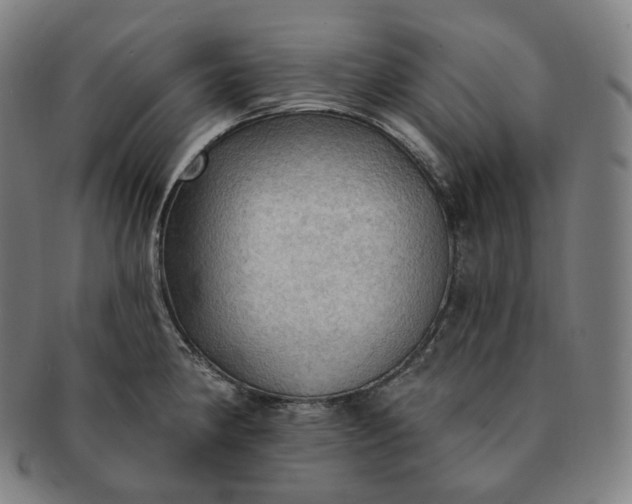 X0000091291190200708241022