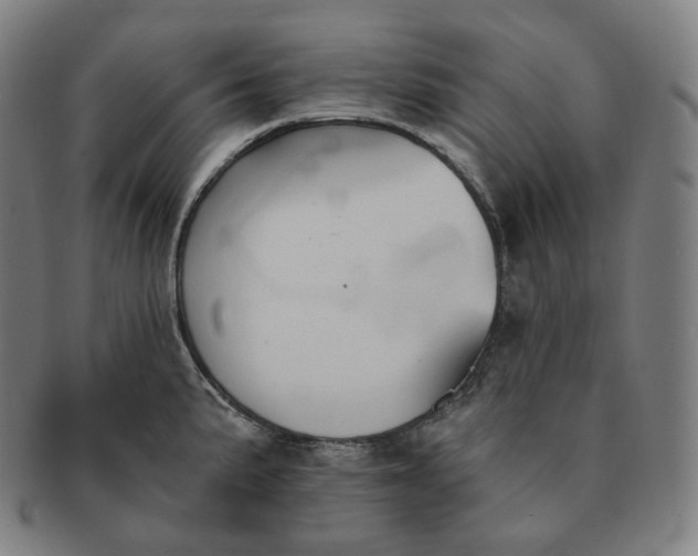 X0000091291191200708241022