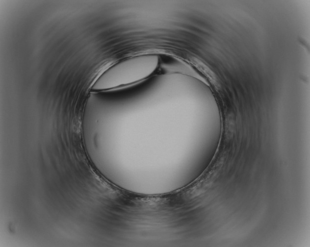 X0000091291193200708241022