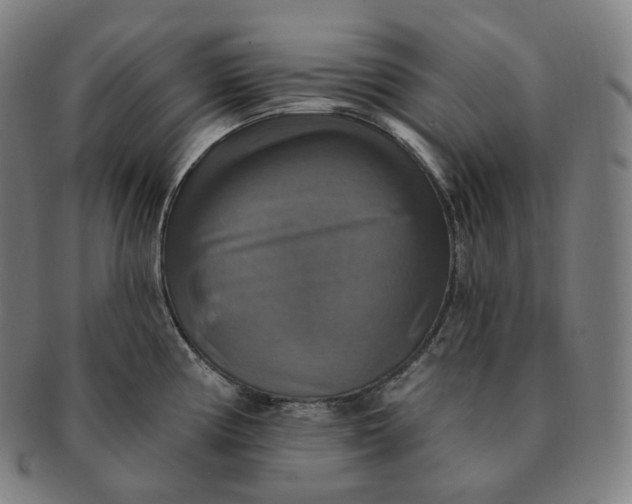 X0000091291194200708241022