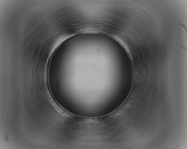 X0000091291195200708241022