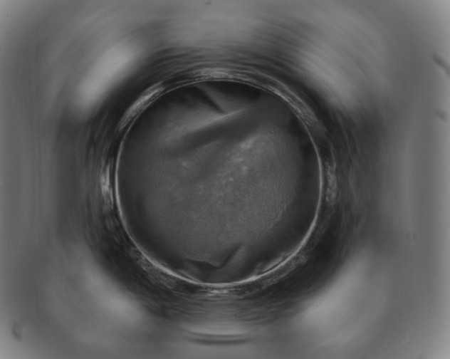 X0000091291198200708241022