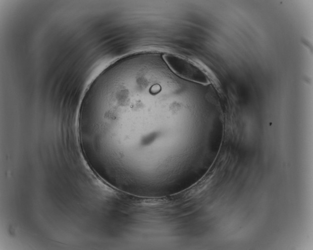 X0000091291199200708241022