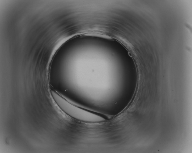 X0000091291200200708241022