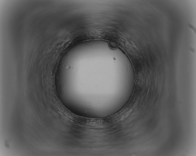 X0000091291201200708241021