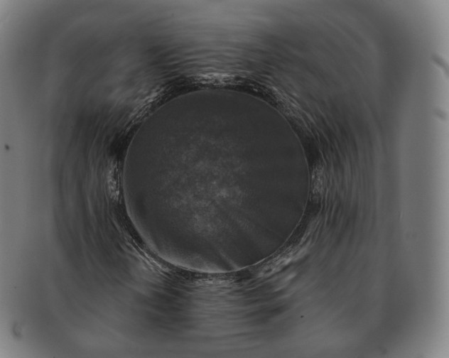 X0000091291202200708241021