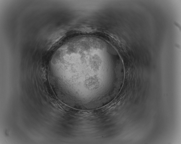 X0000091291205200708241021