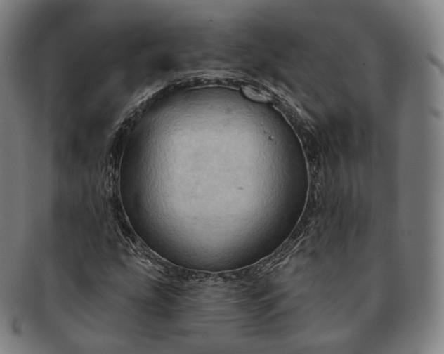 X0000091291207200708241021