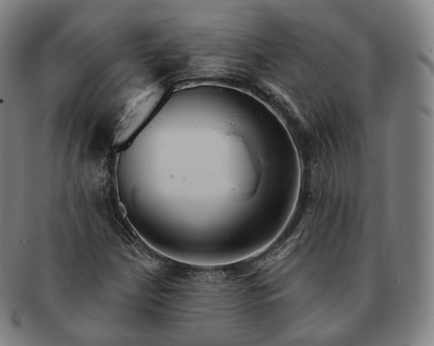 X0000091291210200708241021